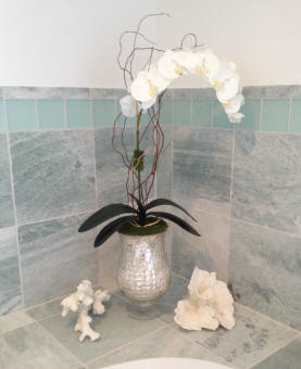 Orchid Gallery